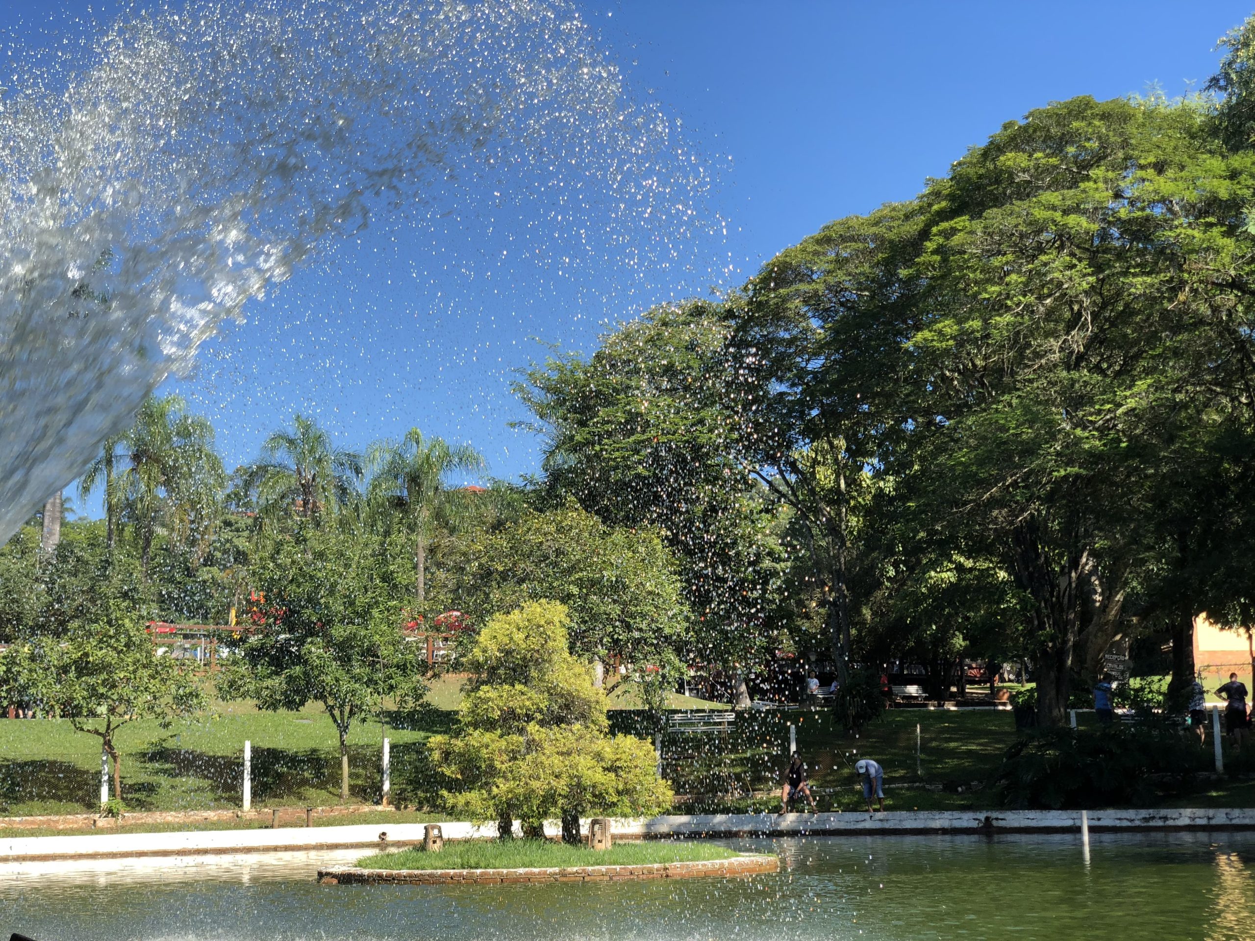 Lago tranquilo rodeado por natureza exuberante, ideal para relaxar durante uma viagem em família.