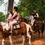 Viagem em família: por que o Resort Fazenda São João é o destino perfeito para pais e crianças