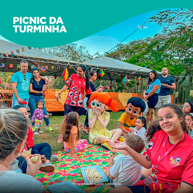 picnic-da-turminha