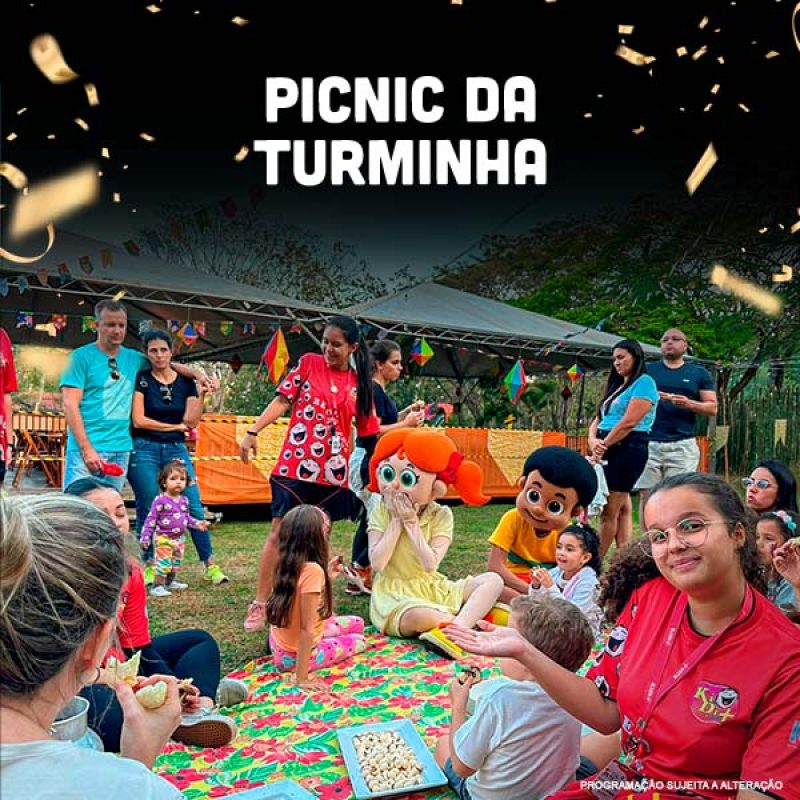 picnic-turminha