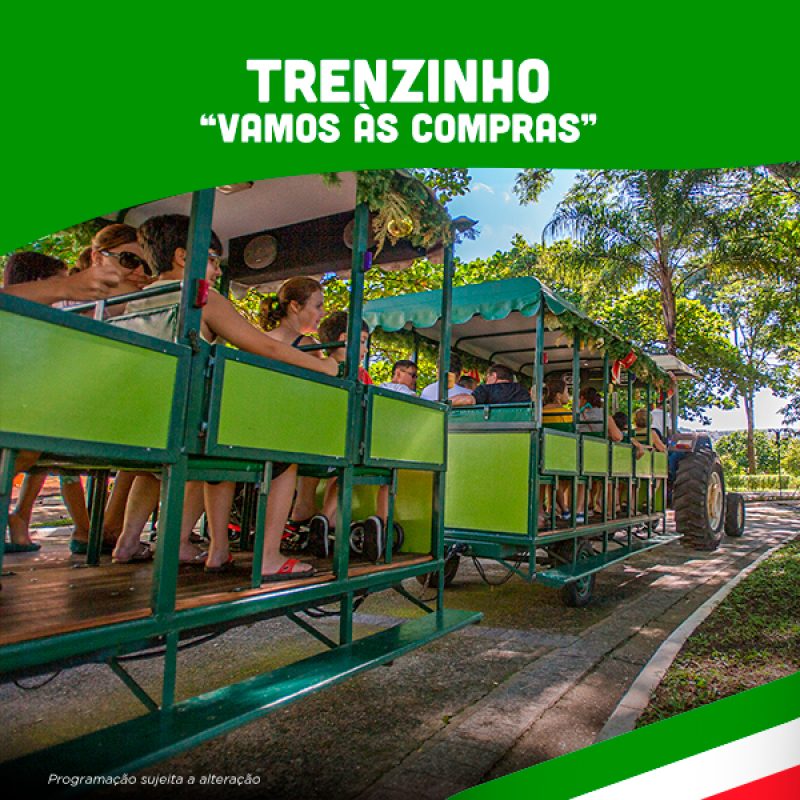 trenzinho-vamos-as-compras