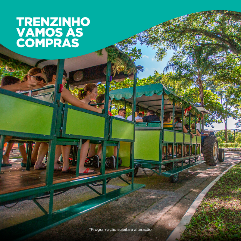 trenzinho-vamos-as-compras