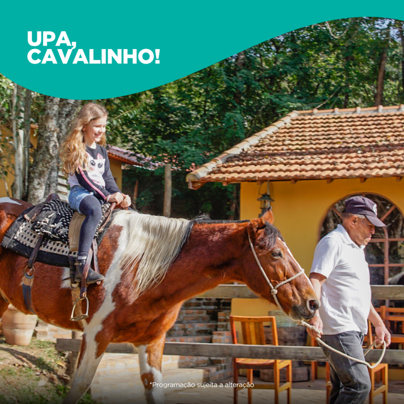 upa-cavalinho